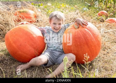 mignon garçon de 7 ans est assis sur le sol, serrant deux énormes citrouilles orange avec ses mains. un enfant aide à ramasser des légumes dans une ferme en automne, en mer Banque D'Images