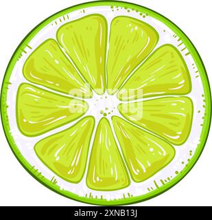Illustration détaillée colorée de fruit de citron vert Illustration de Vecteur