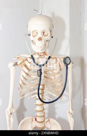 modèle de squelette humain dans une salle de médecins avec un stéthoscope suspendu Banque D'Images