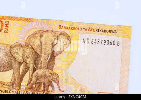 La National Bank of South Africa émet des billets de 20 rands vue arrière Banque D'Images