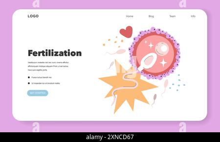 Illustration du concept de fertilisation. Représentation de spermatozoïdes atteignant un ovule, signalant le début de la vie. Conception de mise en page Web éducative. Illustration vectorielle. Illustration de Vecteur