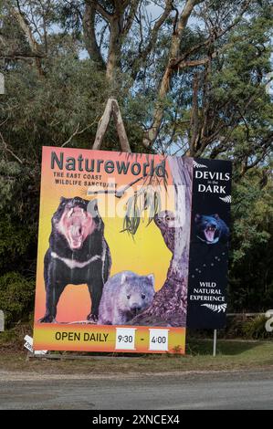 East Coast nature World est le parc naturel et écologique de Tasmanie situé à Bicheno, sur la côte est de Tasmanie, sur la Tasman Highway à Tasm Banque D'Images