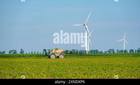 Tracteur pulvérisant des pesticides dans les champs de cultures vertes pendant l'été aux pays-Bas, agriculteur printemps la terre au coucher du soleil, l'agriculture Banque D'Images