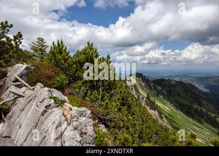 Randonnée en montagne à la montagne Brecherspitze en été, Bavière, Allemagne Banque D'Images