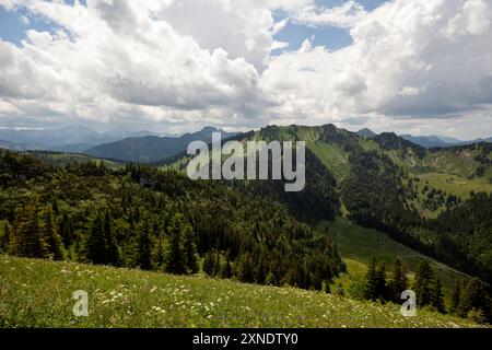 Randonnée en montagne à la montagne Brecherspitze en été, Bavière, Allemagne Banque D'Images