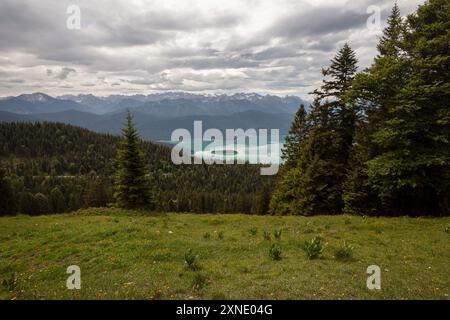 Vue sur le lac Walchensee en été, Bavière, Allemagne Banque D'Images