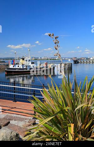 Remorqueur MV Mair amarré dans la baie de Cardiff, Cardiff, pays de Galles du Sud. Banque D'Images