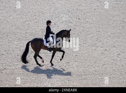 Versailles, France. 31 juillet 2024. Cathrine Laudrup-Dufour, danoise avec cheval Freestyle, participe au grand prix de dressage jour 2 de l’équitation aux Jeux Olympiques de Paris 2024 à Versailles, France, le 31 juillet 2024. Crédit : Yang Lei/Xinhua/Alamy Live News Banque D'Images