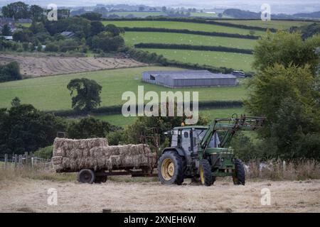 Balles de foin et de paille sur la remorque du tracteur prête pour le transport Banque D'Images