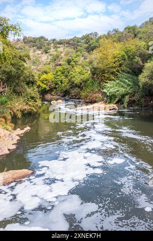 Vue d'un sentier de randonnée Hennops, avec rivière qui traverse, petit pont et téléphérique au-dessus de la rivière, Hartbeespoort, Johannesburg, Afrique du Sud Banque D'Images