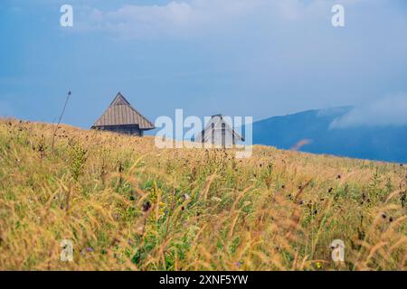 Cabines de Shepard dans Bieszczady chaîne de montagnes Carpatia Pologne par jour nuageux et temps pluvieux Banque D'Images