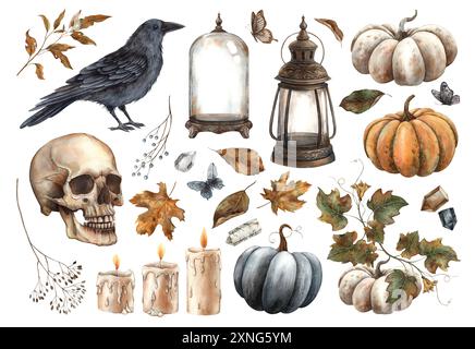 Citrouilles, corbeau, crâne, feuilles sèches, bougie, cristal, papillon, lanterne, florarium. Ensemble d'illustrations d'automne pour Halloween. Pour la conception de cartes Banque D'Images