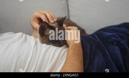 Un homme caresse un chat siamois reposant sur un lit dans une pièce confortable, représentant une scène de maison confortable. Banque D'Images