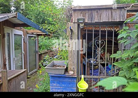 Ehemalige Gärten im Siedlungsraum Ein verfallener und verwilderter Garten wird zu einem Schandfleck. *** Anciens jardins dans les zones résidentielles Un jardin délabré et envahi devient une horreur Banque D'Images