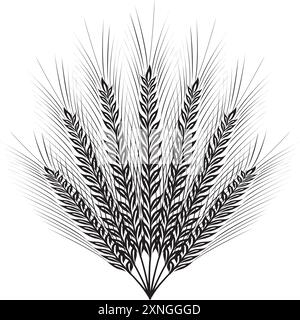 Céréales, orge de seigle et épis de blé. Concept de boulangerie. Illustration vectorielle d'esquisse dessinée à la main Illustration de Vecteur