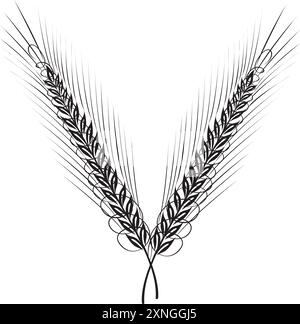 Céréales, orge de seigle et épis de blé. Concept de boulangerie. Illustration vectorielle d'esquisse dessinée à la main Illustration de Vecteur