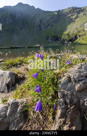 Paysage de montagne à Balea lac, Roumanie Banque D'Images