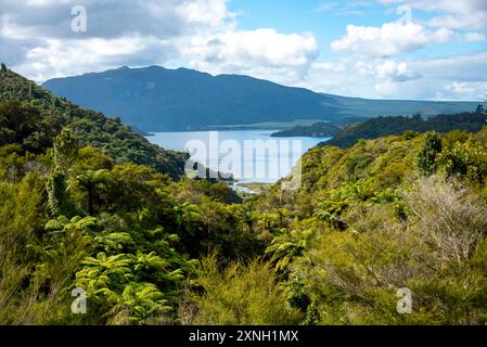 Cratère de la vallée du Rift dans la vallée volcanique de Waimangu - Nouvelle-Zélande Banque D'Images