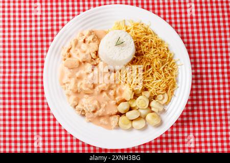 Stroganoff de poulet maison dans une assiette en céramique sur une nappe à carreaux rouge. Vue de dessus Banque D'Images