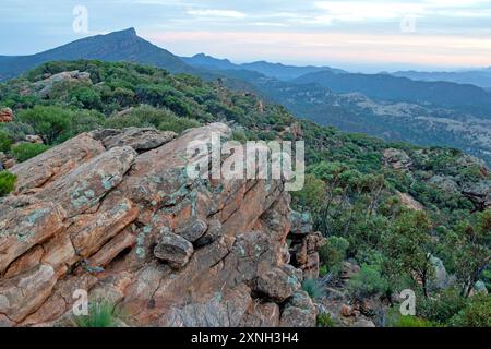 Aube au sommet du mont Ohlssen Bagge, parc national des Ikara-Flinders Ranges Banque D'Images