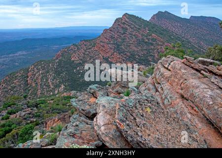 Aube au sommet du mont Ohlssen Bagge, parc national des Ikara-Flinders Ranges Banque D'Images