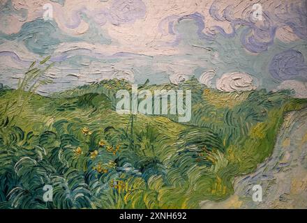 Peinture de Vincent Van Gogh intitulée Green Wheat Fields, Auvers, peinte en 1890 Banque D'Images