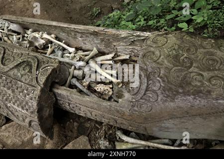 Sarcophage indigène rempli d'os humains sur un site de sépulture traditionnel dans le village de Kete Kesu, Toraja Nord, Sulawesi Sud, Indonésie. Banque D'Images