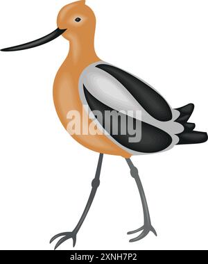 oiseau avocet américain Illustration de Vecteur