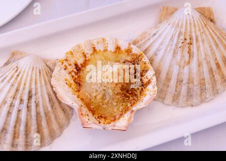 coquille saint-jacques grillée en coquille de palourde sur plaque blanche Banque D'Images