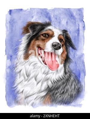 Un dessin détaillé et réaliste d'un chien bleu joyeux merle Australian Sheperd. C'est la langue qui traîne, gaie et détendue avec son expressio lumineux Banque D'Images