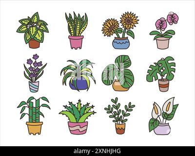 Ensemble de plantes Doodle dessinées à la main Illustration de Vecteur