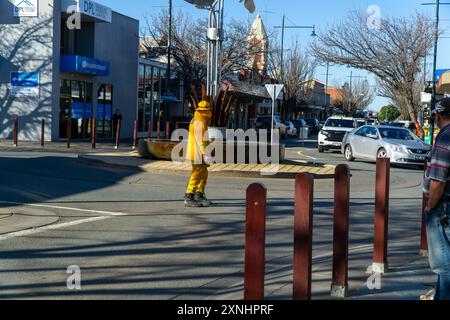 Kyabram, Victoria, Australie, 1er août 2024 ; le volontaire CFA dirigeant la circulation tandis que les pompiers assistent à une alarme incendie dans un magasin vide de la rue Allan Kyabram. Les camions de pompiers ont partiellement bloqué la rue Alan tandis que les volontaires de la CFA fouillaient les lieux pour trouver des signes d'incendie. Crédit P.j.Hickox/Alamy Live News. Banque D'Images