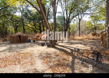 Deux habitants se relaxant à l'ombre des grands arbres Mopane à l'entrée du parc national de North Luangwa Banque D'Images