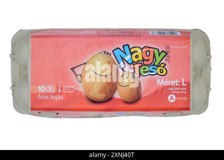 boîte hongroise fermée de dix gros oeufs découpés sur fond blanc Banque D'Images