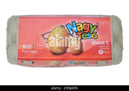 boîte hongroise fermée de dix gros oeufs découpés sur fond blanc Banque D'Images