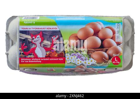 boîte hongroise fermée de dix gros oeufs découpés sur fond blanc Banque D'Images