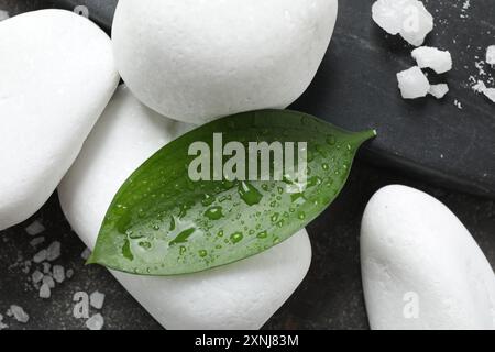 Pierres de spa humides, sel de mer et feuilles vertes sur surface grise Banque D'Images