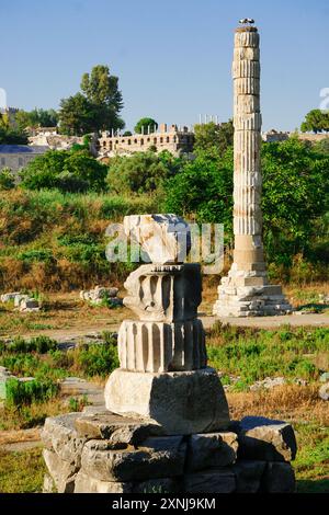 18 juin 2024 Selcuk Izmır Turquie. Temple Arthemis à Ephesus Selcuk Turquie Banque D'Images