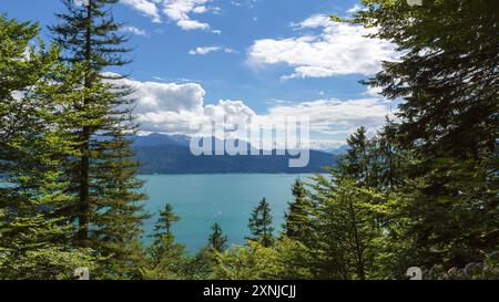 Vue sur le lac Walchensee en été, Bavière, Allemagne Banque D'Images