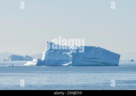 Ambiance nocturne avec de grands icebergs flottants dans la baie de Disko. Qeqertarsuup Tunua, baie de Baffin, Groenland, Danemark Banque D'Images