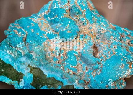 Chrysocolla avec spécimen minéral de malachite, Musée géologique, Varsovie, Pologne Banque D'Images