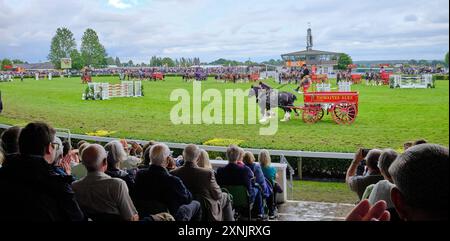 Activité au Great Yorkshire Show, Harrogate Showground, North Yorkshire, Angleterre du Nord, Royaume-Uni Banque D'Images