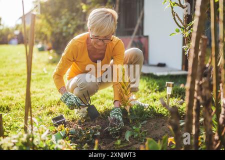 Heureuse femme âgée jardinant dans sa cour. Elle plante une fleur. Banque D'Images