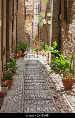 Spello - la petite allée sur la vieille ville. Banque D'Images