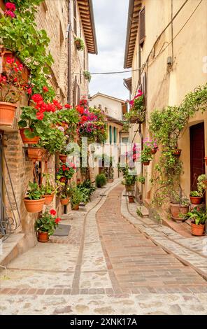 Spello - la petite allée sur la vieille ville. Banque D'Images