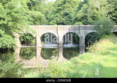 Une mariée sur la rivière six Mile dans les jardins du château d'Antrim Banque D'Images