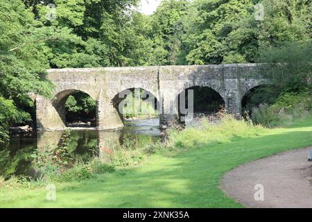 Une mariée sur la rivière six Mile dans les jardins du château d'Antrim Banque D'Images