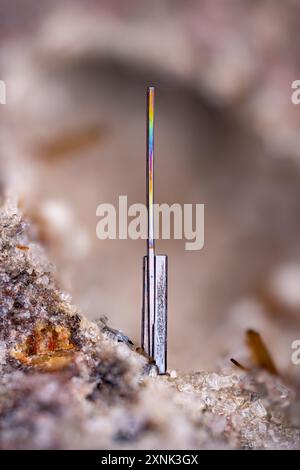 Rutile Micro photographie en gros plan extrême. Spécimen de la Aljorra, Espagne. Photographie de cristal minéral au microscope pour usage scientifique. Banque D'Images