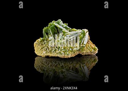 Pyromorphite verte de la mine des Farges, Ussel, France. photographie isolée sur fond noir. macro détail gros plan cristal minéral non poli Banque D'Images