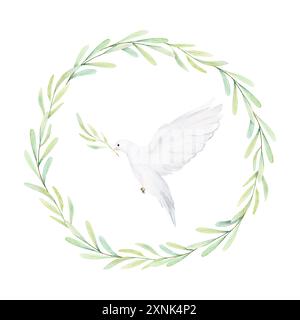 Aquarelle colombe blanche et branches d'olivier. Oiseaux blancs dans une couronne de laurier. Pince à pigeon Illustration dessinée à la main isolée sur fond. Décoratif Banque D'Images